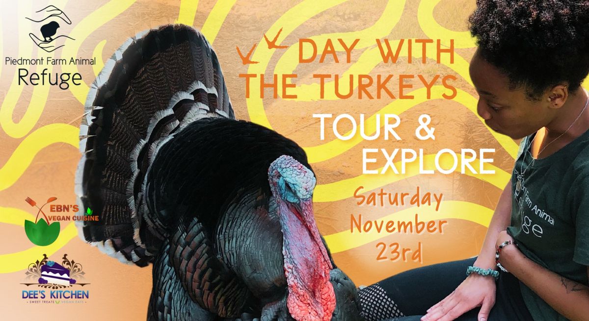 Day with the Turkeys Tour & Explore