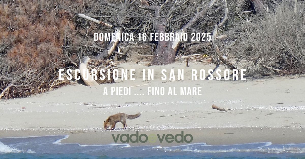 Escursione nella Tenuta di San Rossore ... fino al mare