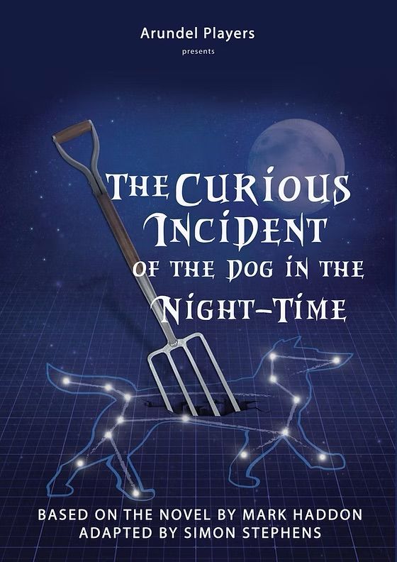 The Curious Incident of the Dog in the Night-Time