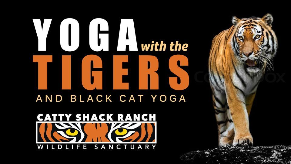 Yoga with the Tigers