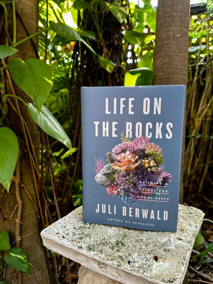 Yoga Book Club: Life on the Rocks by Juli Berwald