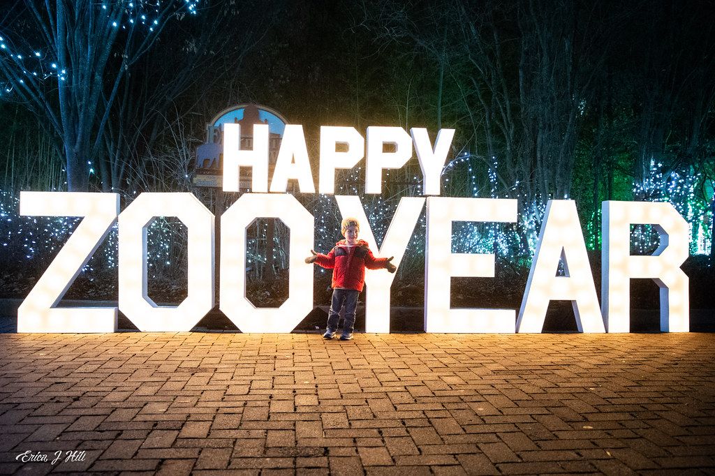 Happy Zoo Year at the Cincinnati Zoo