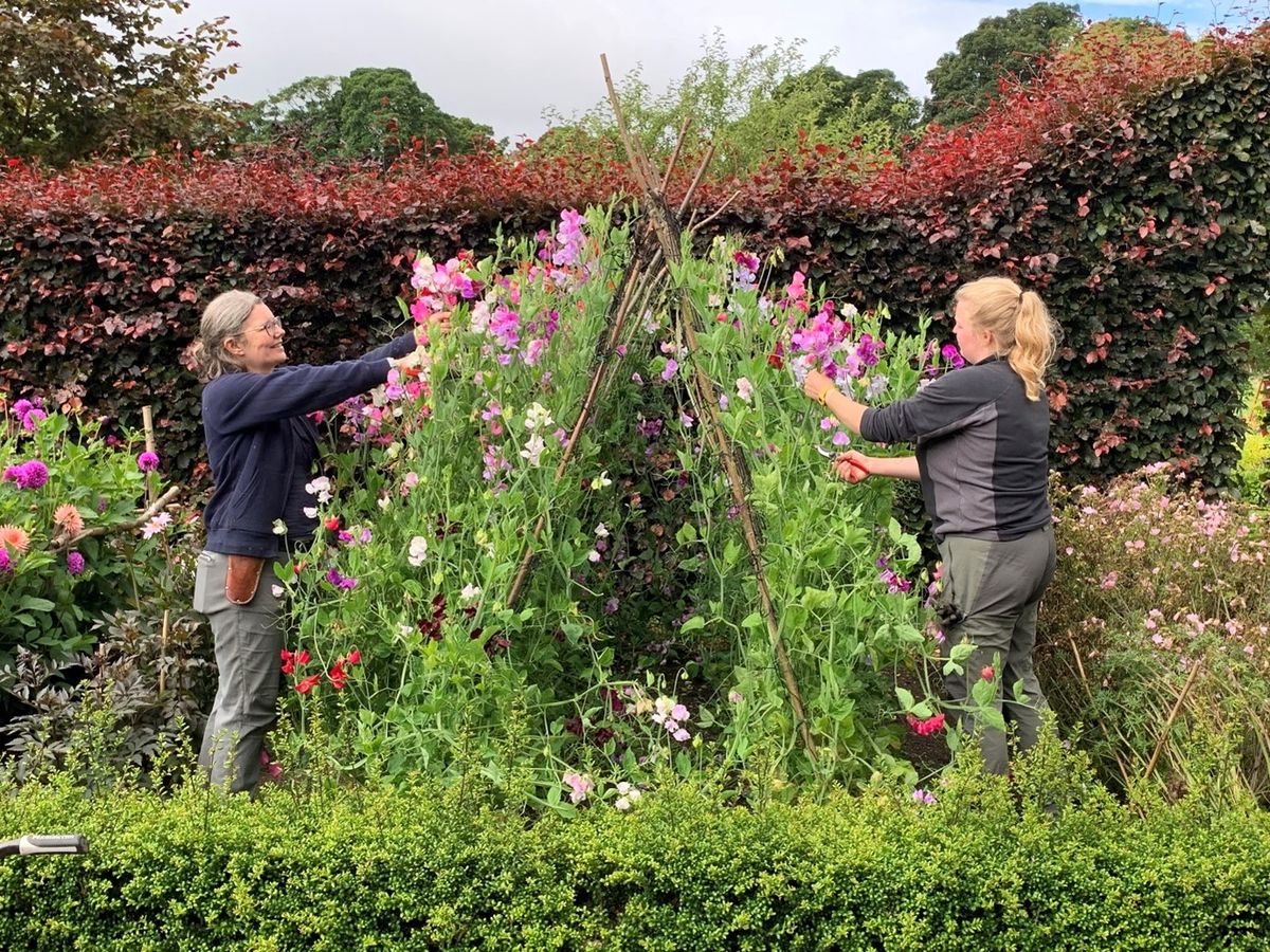 Castle Fraser's Gardening Club