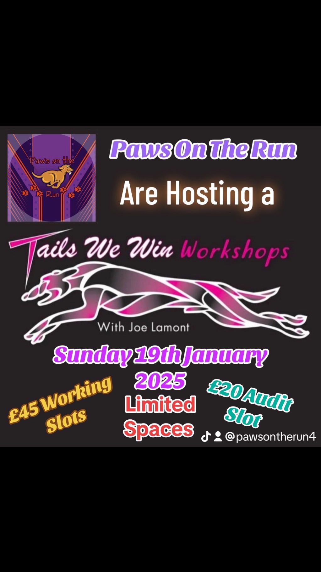 Tails We Win Workshop with Joe Lamont