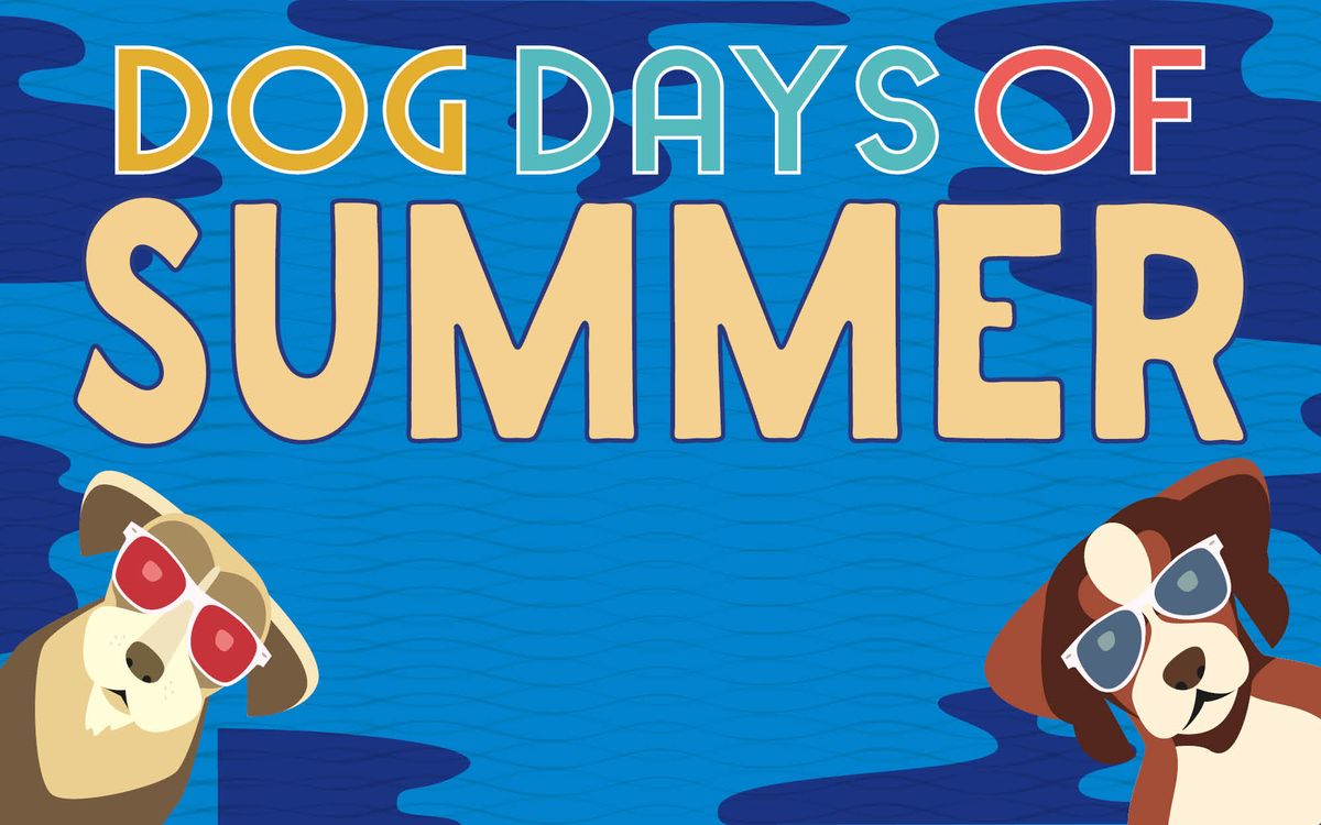 Dog Days of Summer & Movie