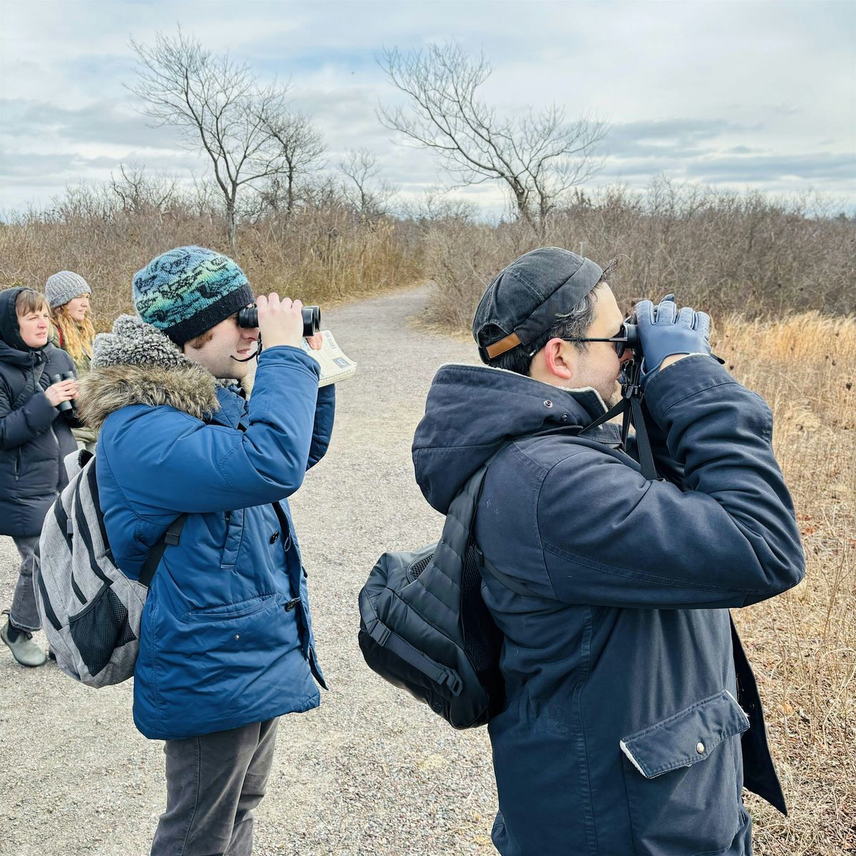 Jamaica Bay Guided Walk: Winter Birds