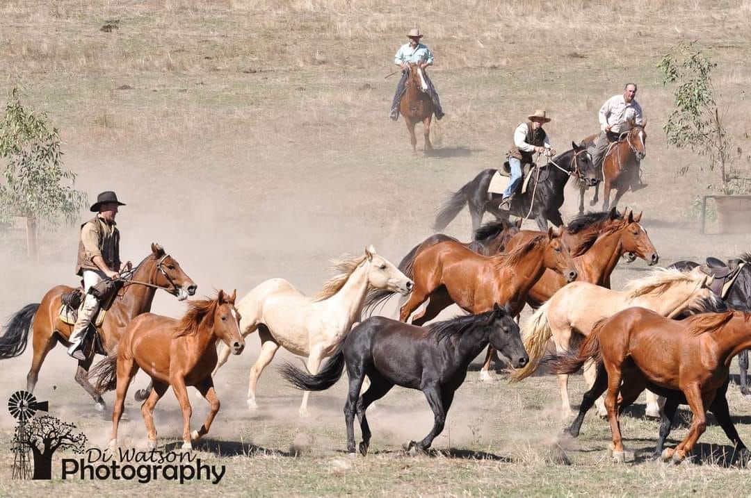 Man From Snowy River Bush Festival