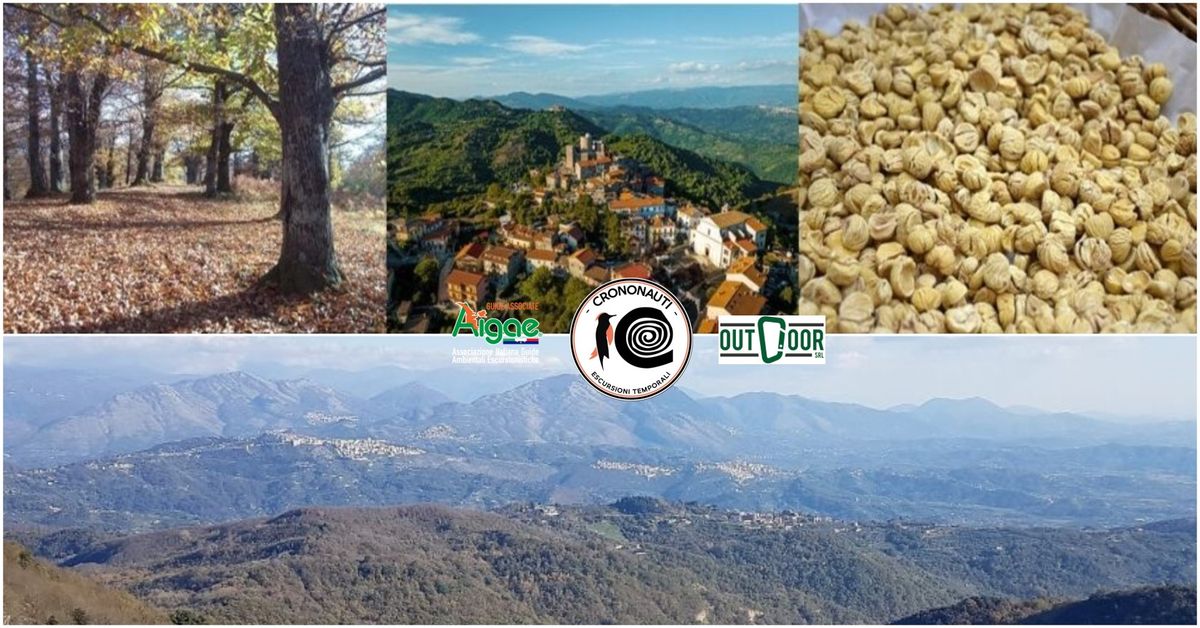 Rocca di Cave: trekking tra antichi mari e Sagra della Mosciarella