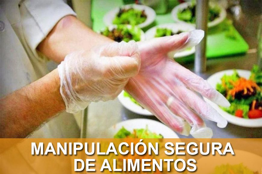 Manejo Seguro De Alimentos Arecibo Pr San Juan 8 July 2023 3848