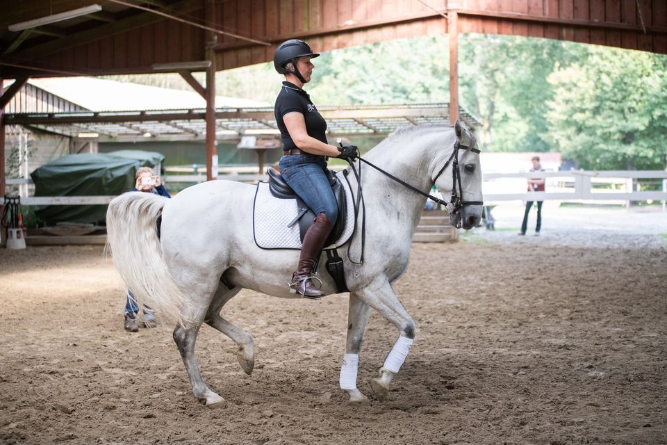 Offener Trainingstag mit Andrea Lipp (Reitanlage Schork bei D\u00fcsseldorf)