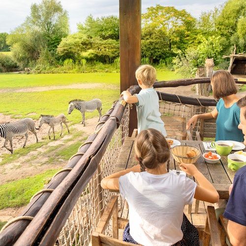 Zoo Leipzig: Tickets ohne Anstehen