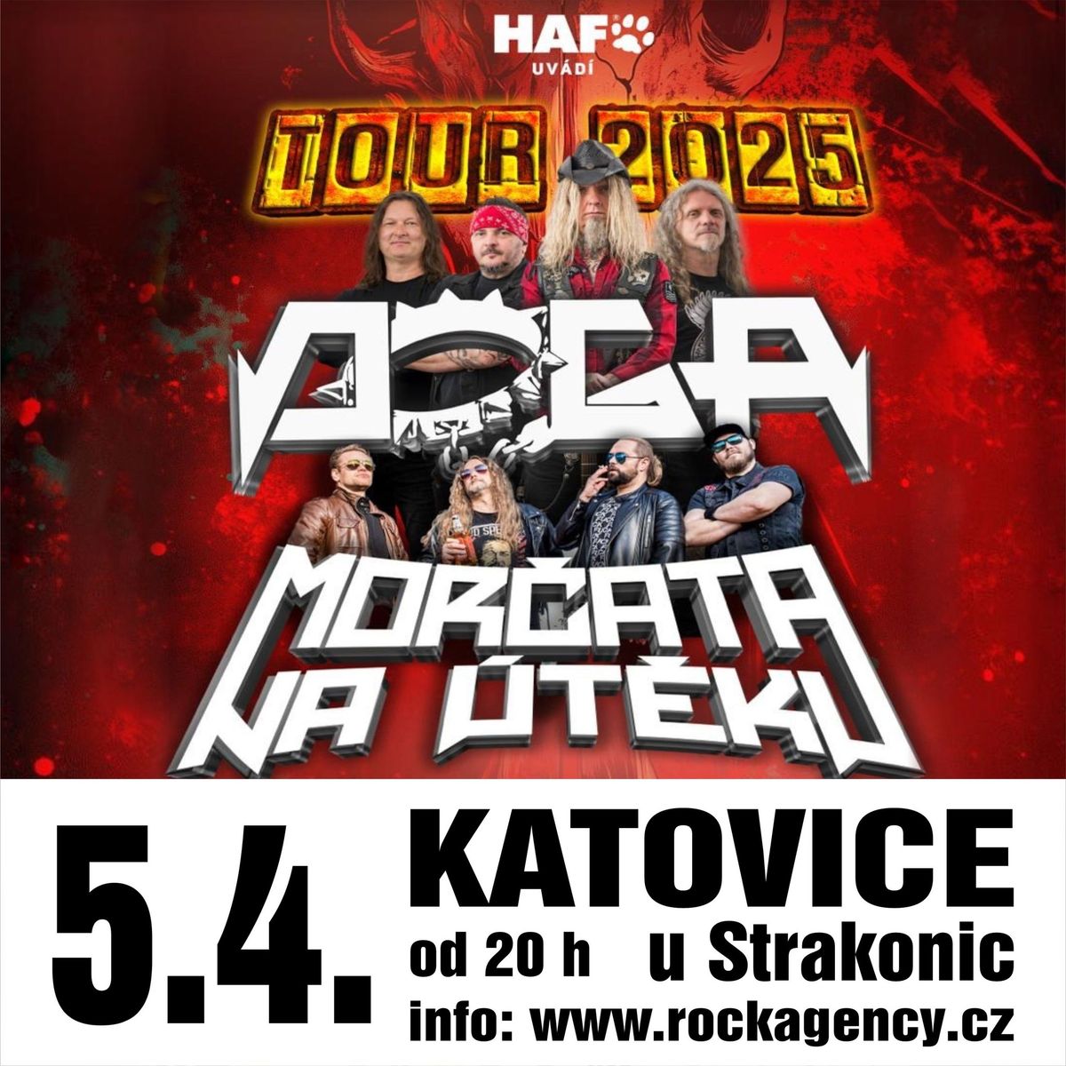 DOGA + MOR\u010cATA NA \u00daT\u011aKU | KATOVICE u Strakonic 