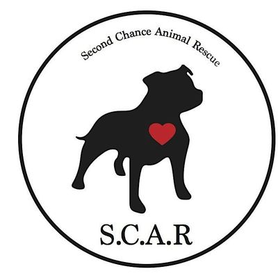 Second Chance Animal Rescue