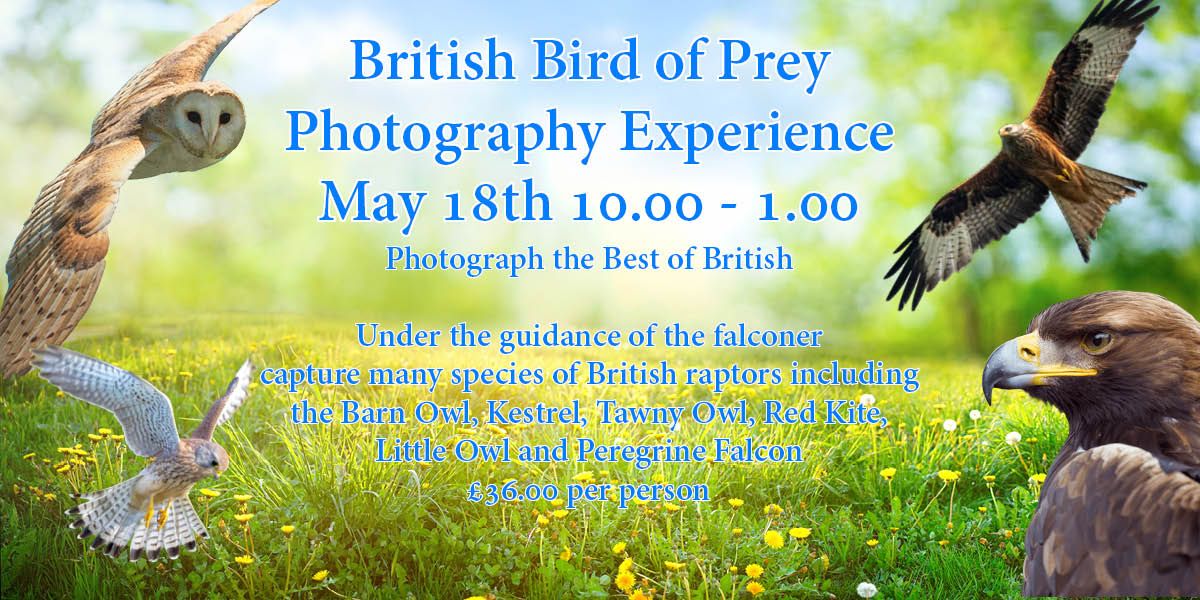 Best of British Photography Experience