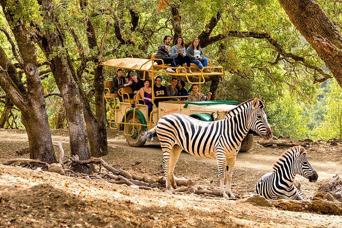 Safari West