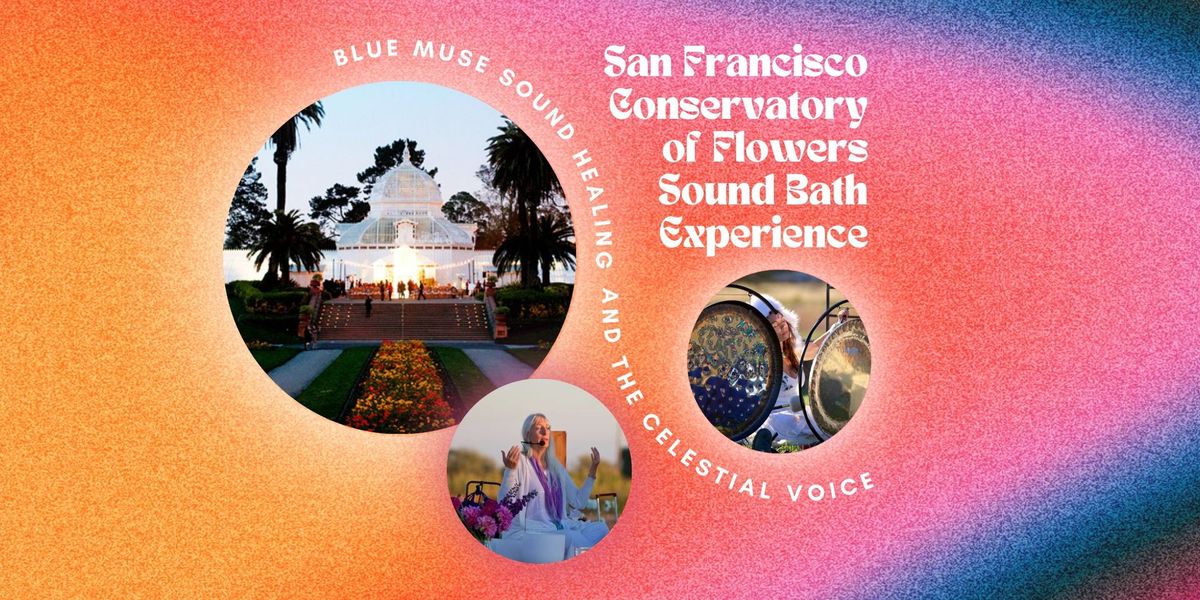 Sf Conservatory of Flowers Sound Bath Experience