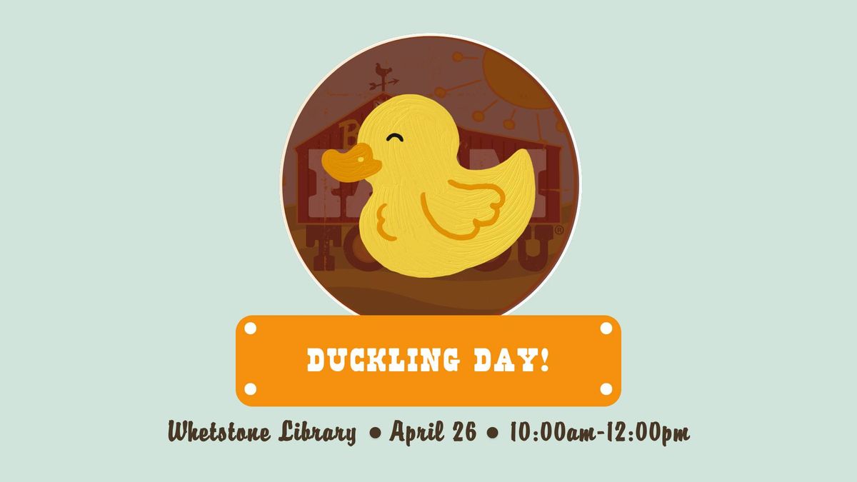 Duckling Day at Whetstone Library!