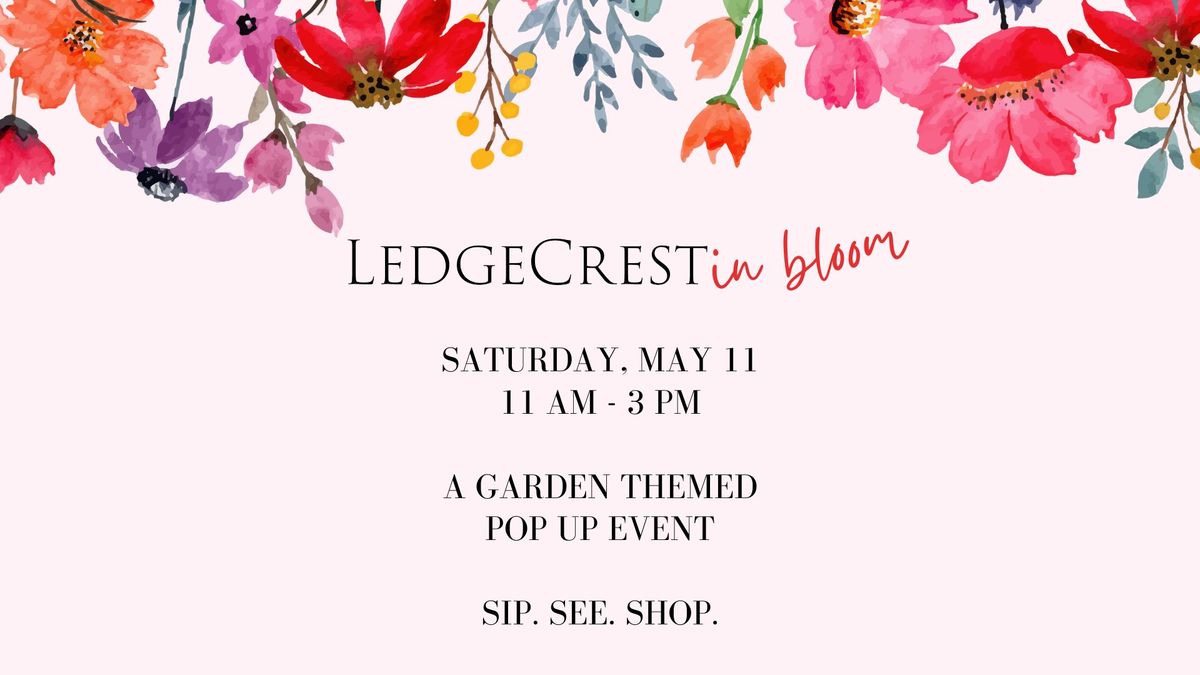 In Bloom - A Spring Pop Up Event
