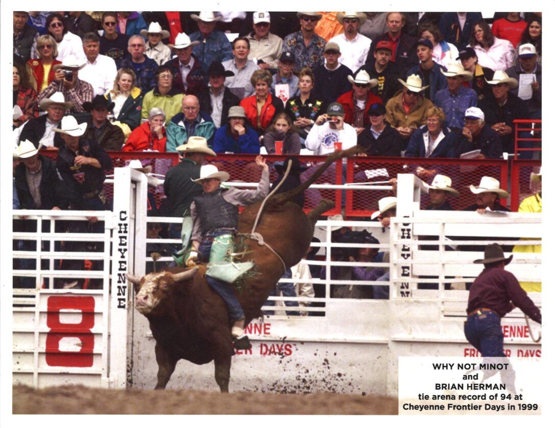 Rodeo Minot