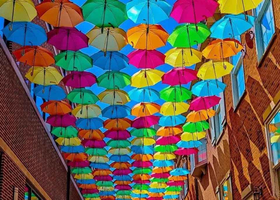 The Umbrella Project Launch