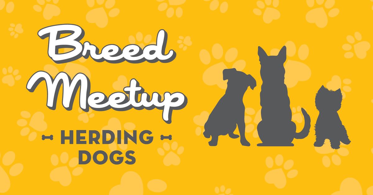 MUTTS\u00ae Dallas - Breed Meetup: Herding Dogs