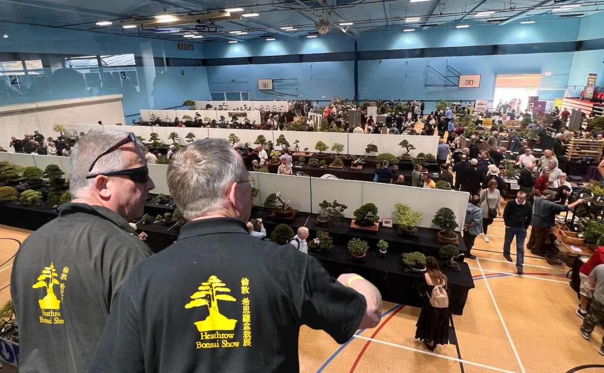 13th Heathrow Bonsai Show