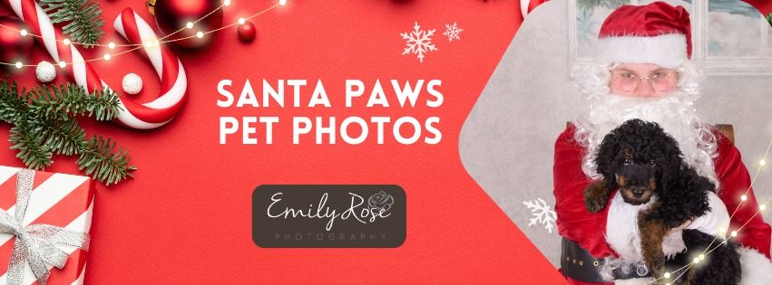 Santa Paws Pet Photos- Midland