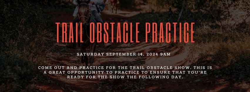 Trail Obstacle Practice 