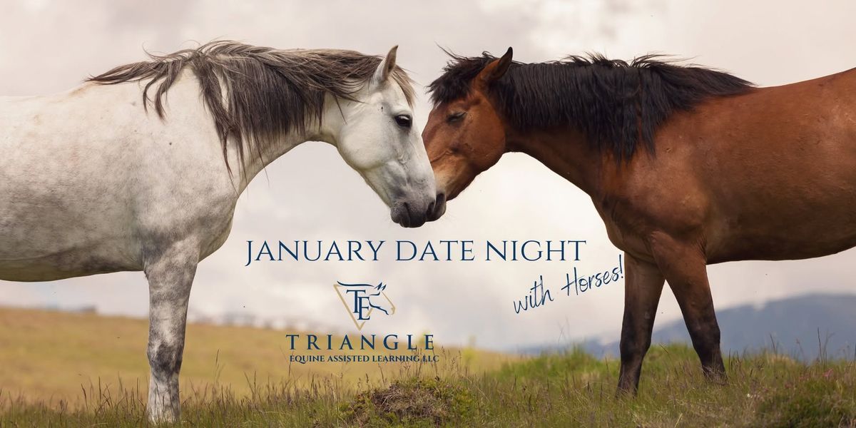 January Date Night with Horses