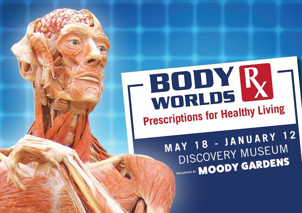 BODY WORLDS RX | Discovery Museum @ Moody Gardens | Moody Gardens 77554