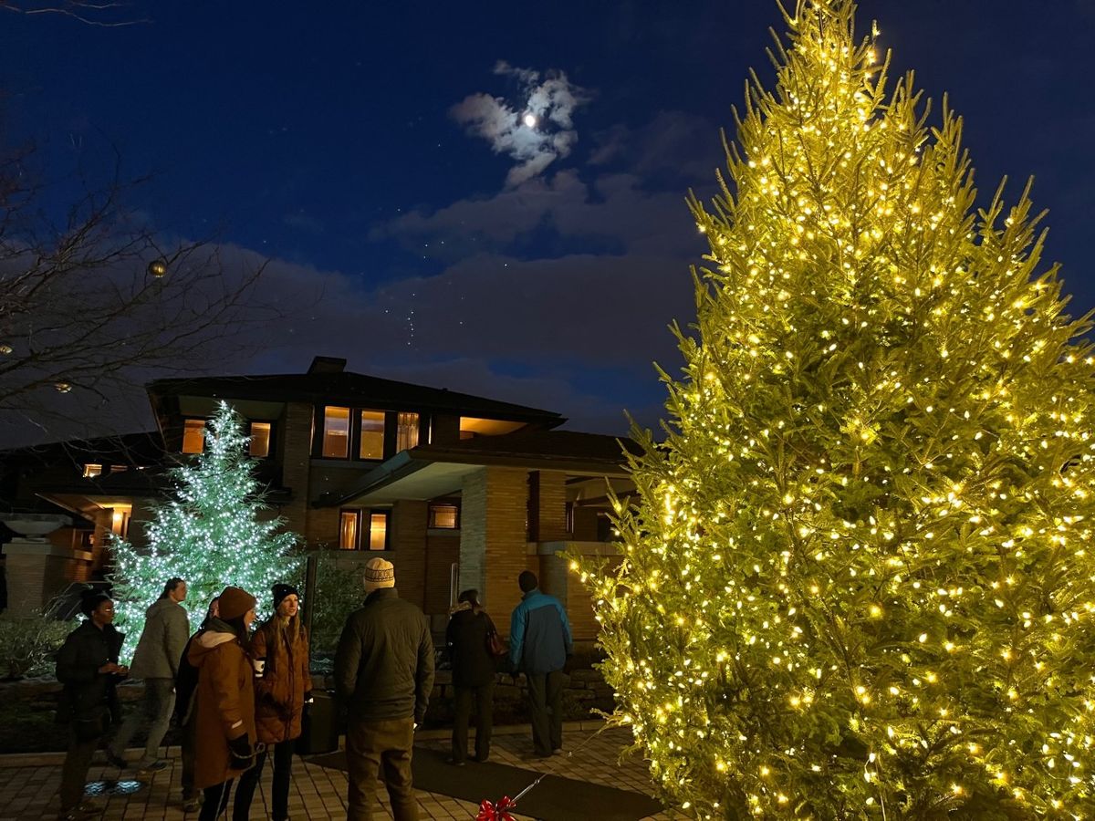 Tree of Light + Holiday Market