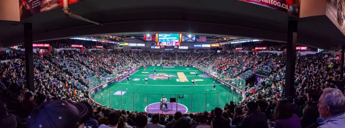 Halifax Thunderbirds at Las Vegas Desert Dogs