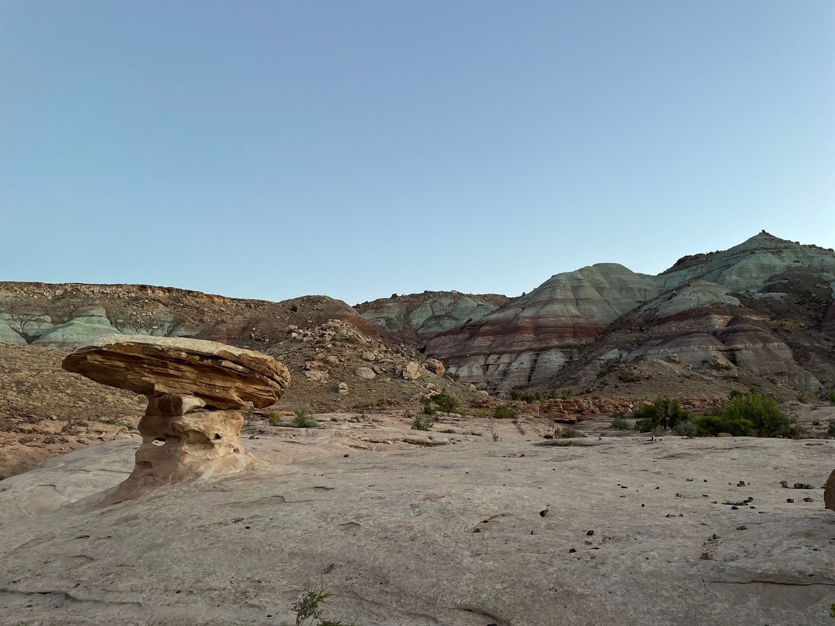 Utahraptor State Park Update at the Museum