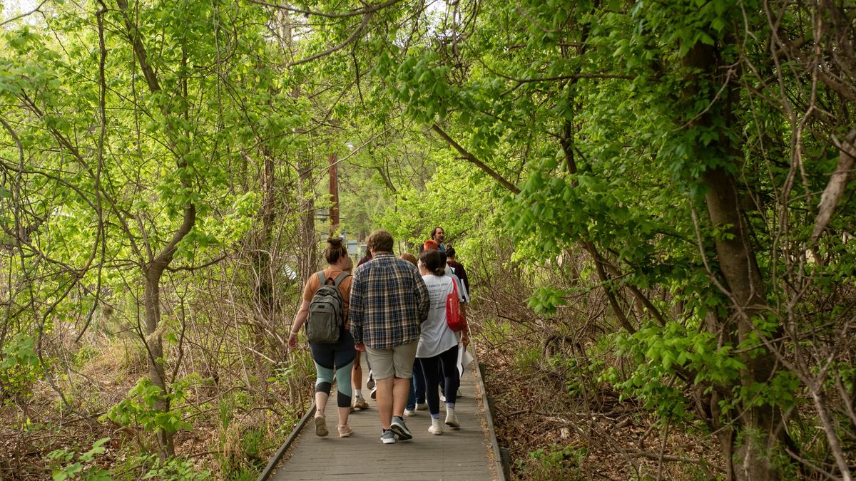 Outdoor Academy: A Walk Through the Woods