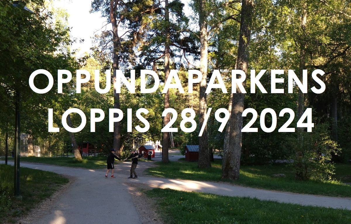 Oppundaparkens loppis i Svedmyra 