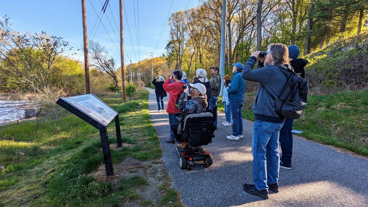Spring Birding On The Concord River Greenway
