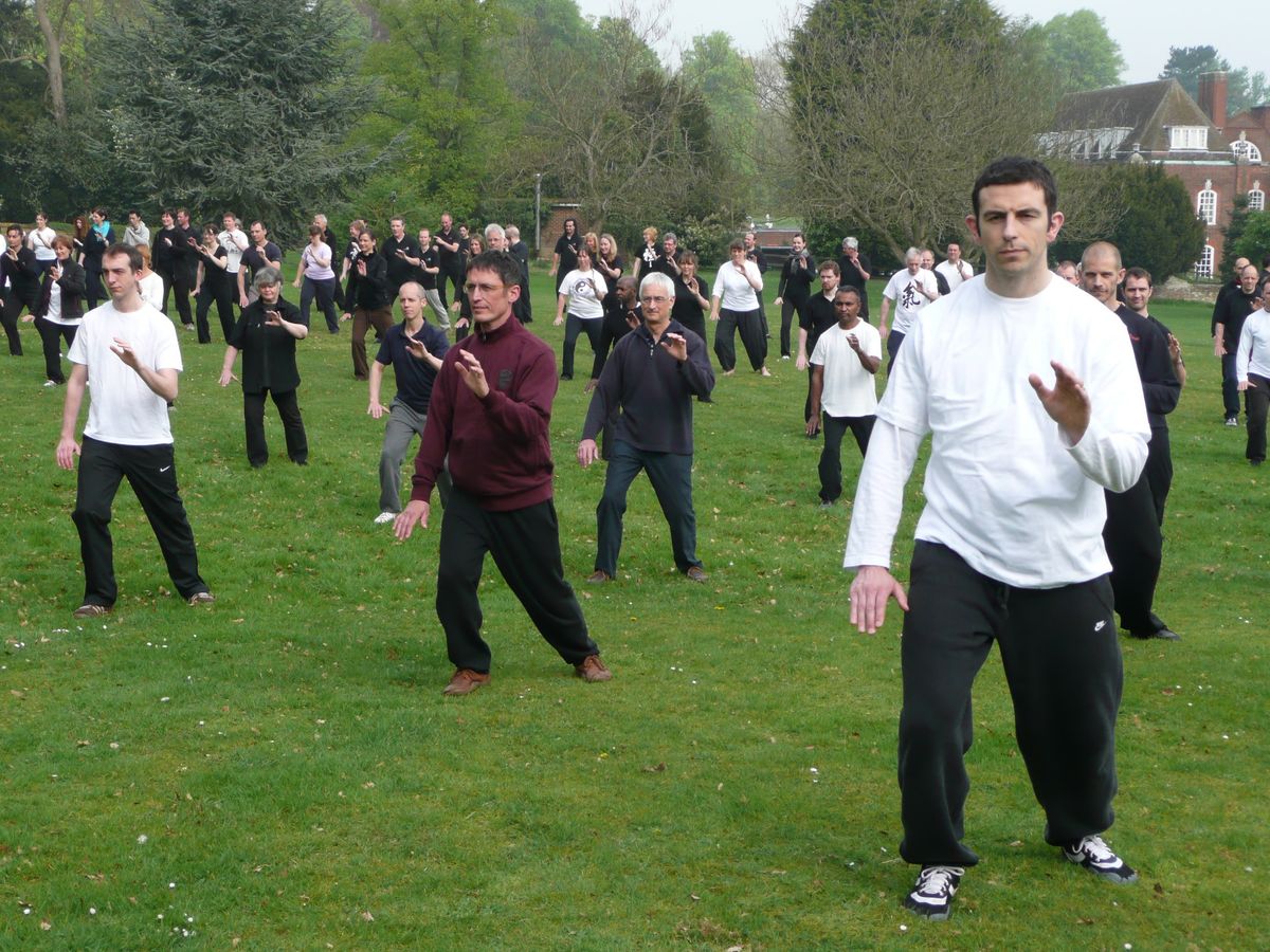 Open Tai Chi Masterclass with Master Ding: Whole body integration.