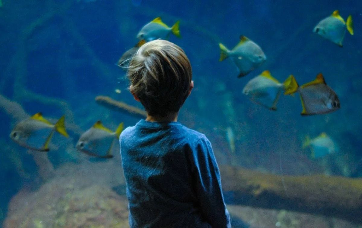 Acquario Civico di Milano GRATIS