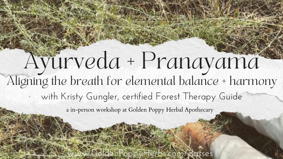 Ayurveda + Pranayama: aligning the breath for elemental balance + harmony