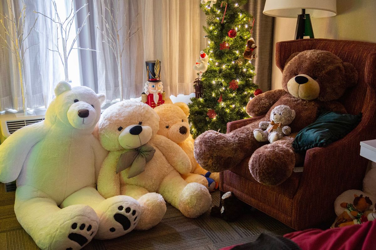 Teddy Bear Room at the Hilton Garden Inn 