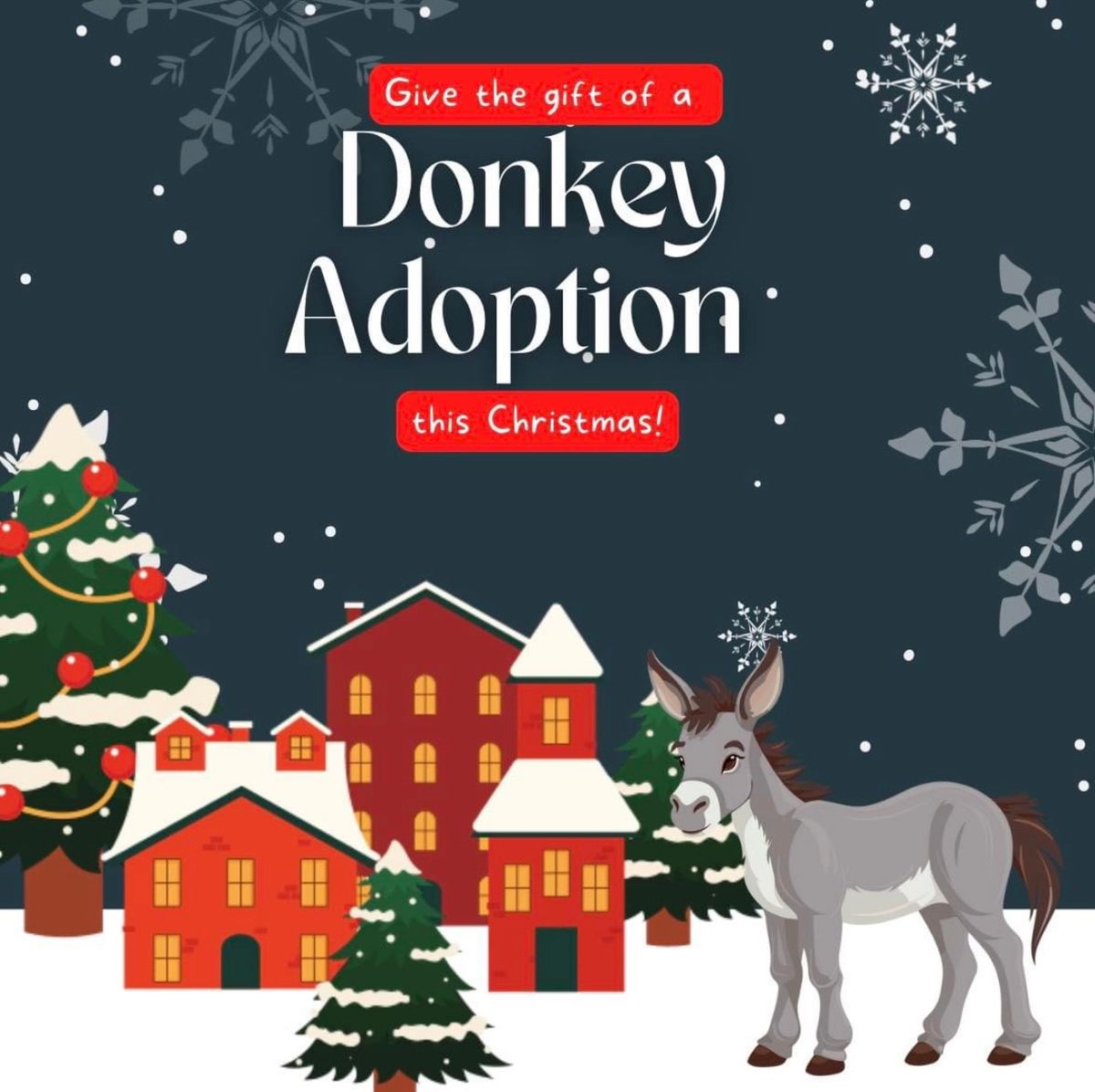 Christmas Adopt A Donkey Weekend 