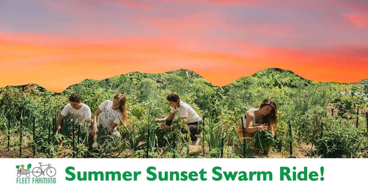 Fleet Farming Summer Sunset Swarm Rides! *June - August