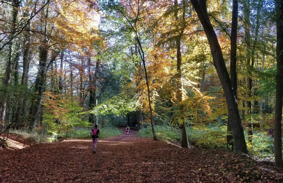 Linacre Infini (trail endurance race)