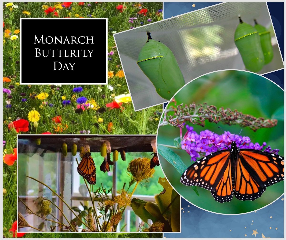 Monarch Butterfly Day