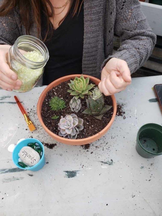 Succulent Workshop