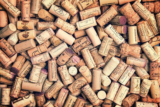 WINE EDUCATION: Old World Vs. New World