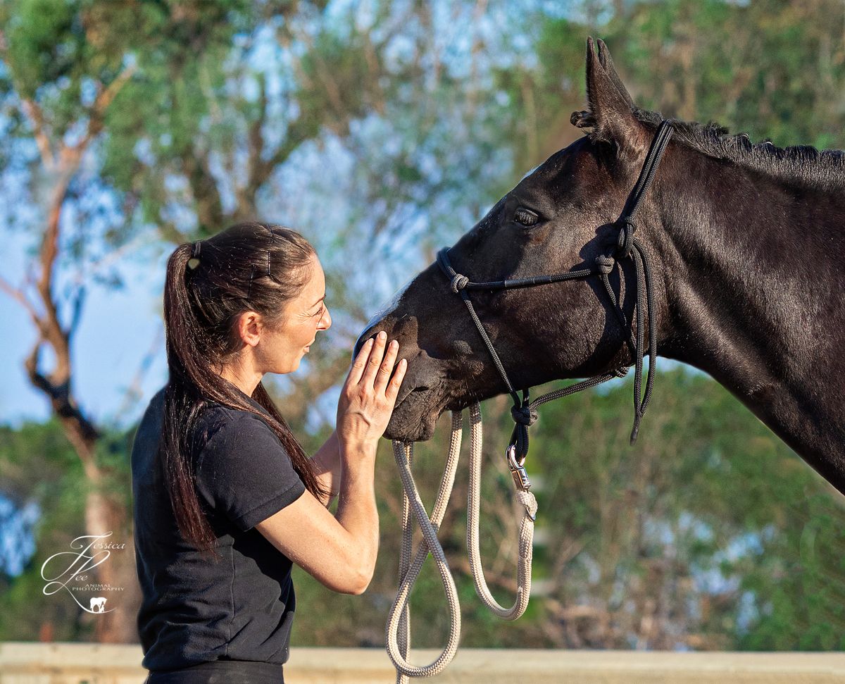 Connection & Confidence 1-Day Ground Clinic, Nar Nar Goon VIC