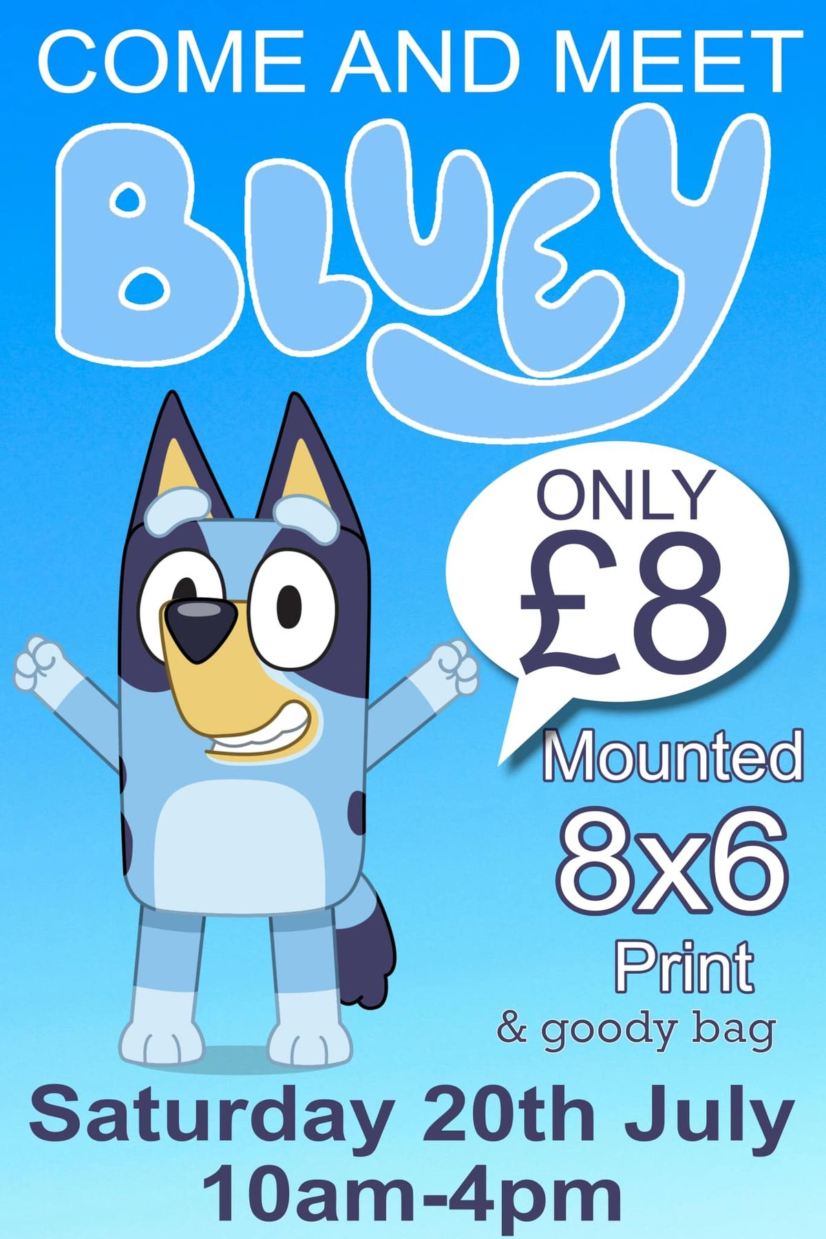 BLUEY FUNDAY 