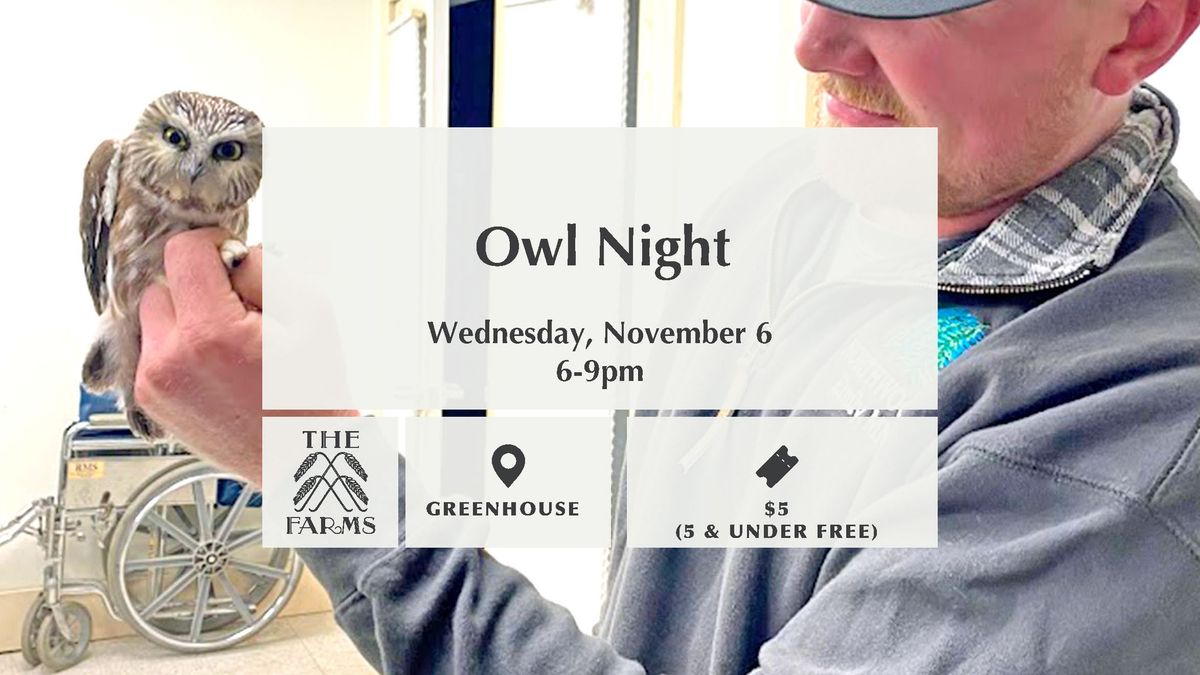 (SOLD OUT) Owl Night