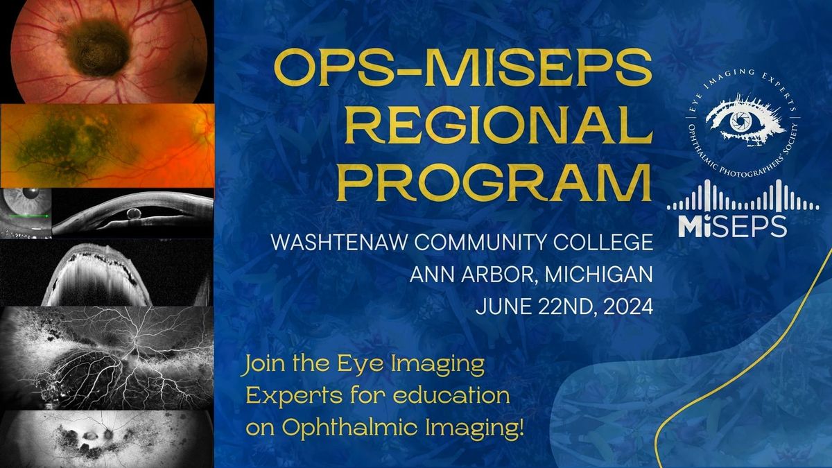The OPS-MISEPS Regional Program 
